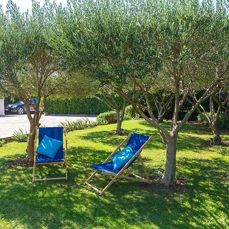 Lemon Garden - In Dubrovnik Apartman Mlini