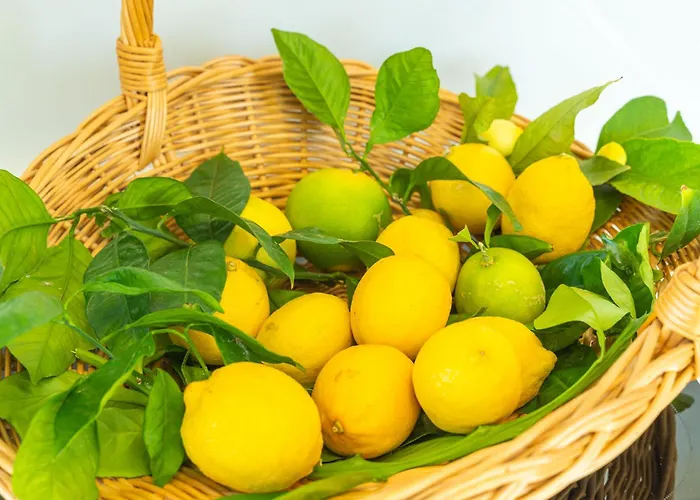 شقة Lemon Garden - In Dubrovnik مْليني